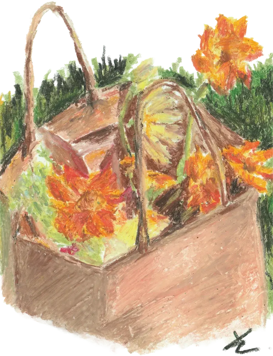 신부가 신랑에게 쓴 편지와 함께 직접 그린 꽃바구니 그림